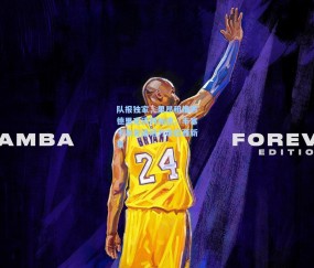 队报独家，里昂租借恩德里克谈判加速，丰塞卡亲自通话力邀巴西新星